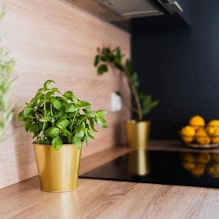 City Center - 3 Rooms - New Building - Private Parking Place - Garage Breslavia Esterno foto