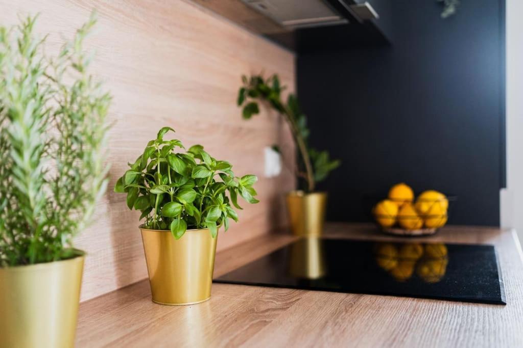 City Center - 3 Rooms - New Building - Private Parking Place - Garage Breslavia Esterno foto